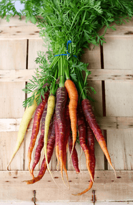 Rainbow Carrot Mix (Multi-colored) - beyond organic seeds