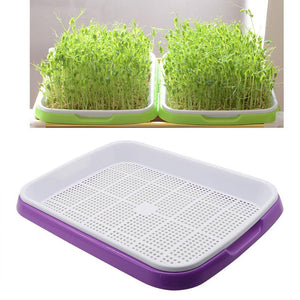 Hydroponics Seedling Tray Double Layer Sprout Plate Hydroponics System To Grow Nursery Pots Tray Vegetable Seedling Pot 3 Sets - beyond organic seeds
