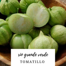 Grande Rio Verde Tomatillo - beyond organic seeds